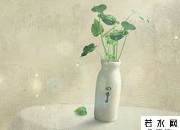 阿狸桃子手机壁纸