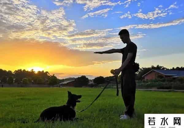 狗子与我抖音6分钟视频