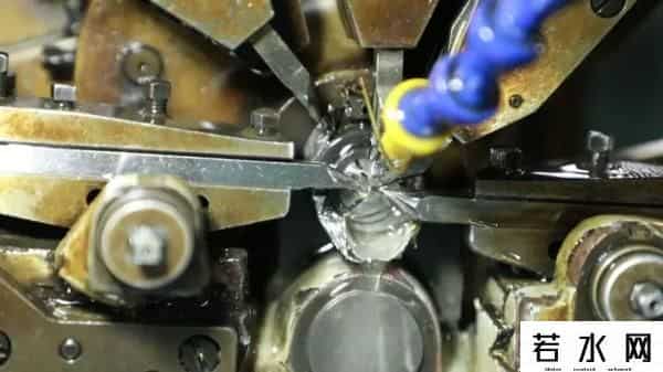 桂花表一夜翻红开启限购