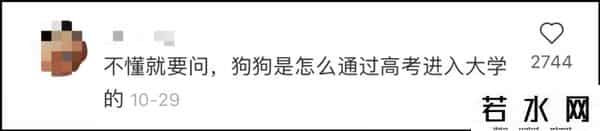 狗子与我抖音6分钟视频