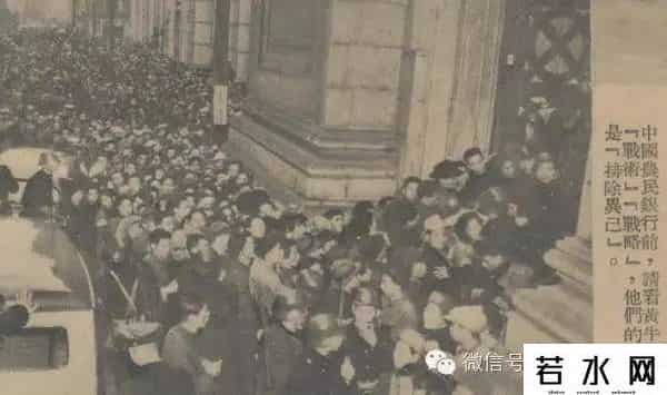 黄牛党是什么意思