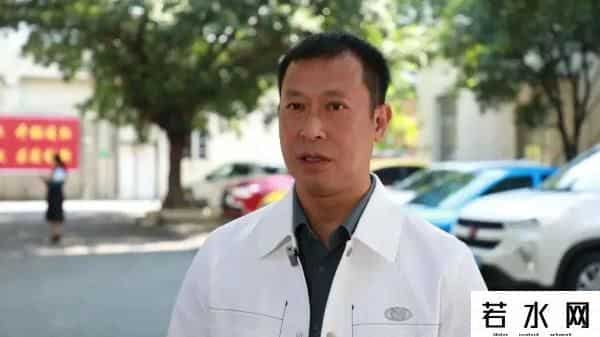 桂花表一夜翻红开启限购