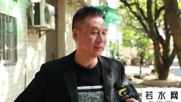 桂花表一夜翻红开启限购