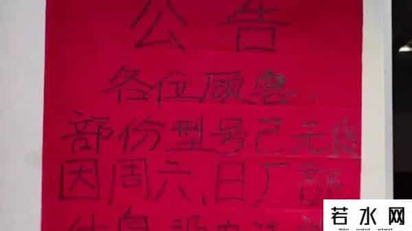 桂花表一夜翻红开启限购