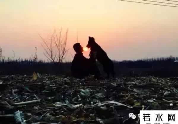 狗子与我抖音6分钟视频