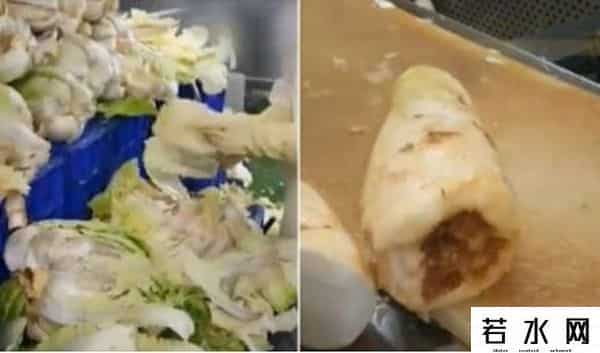 韩国近一半泡菜生产商关闭