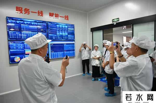 中国制造的真实底气：藏在这些“隐形冠军”里