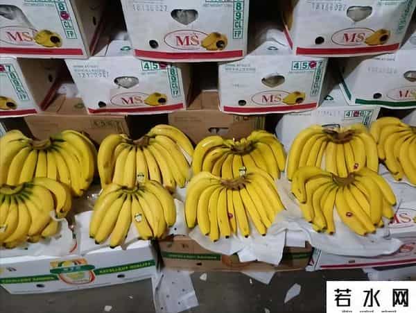 明明产量世界第二！国产香蕉为何被挤出超市？