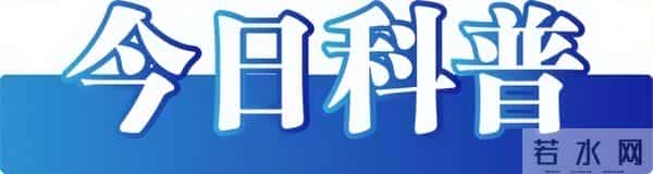 吉林一医院上空大量飞鸟盘旋