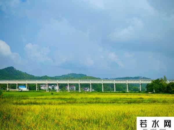 中国化学生态公司：实干笃行 为美丽中国注入硬核 “绿色动能”