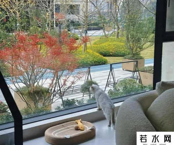有种痛苦是省钱买了2楼，不得不说，缺点挺多的，都是教训和经验