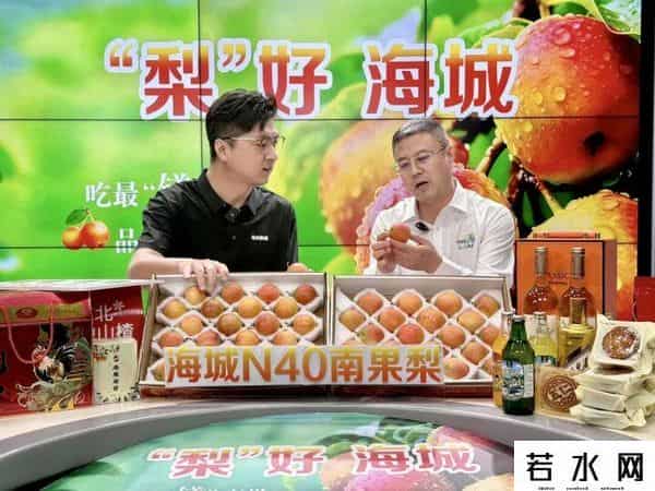 领导站台！海城直播带火南果梨及文旅好物