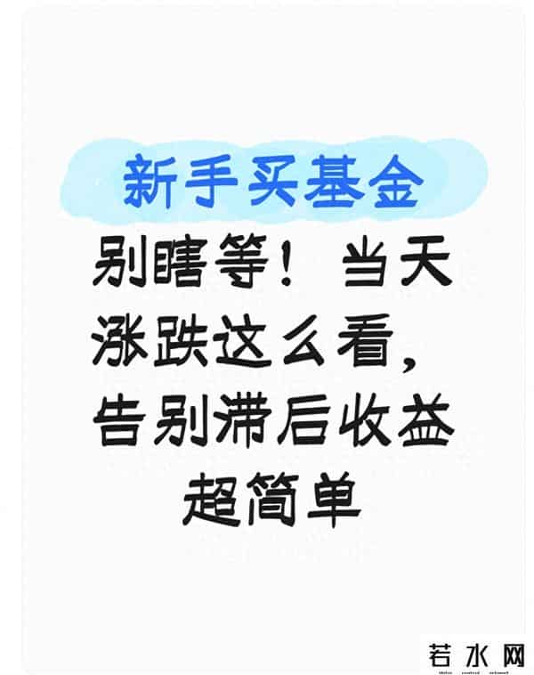 新手买基金别瞎等！当天涨跌这么看，告别滞后收益超简单