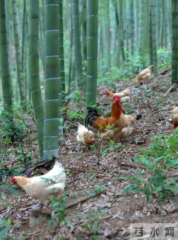 大学生赚1万多奖自己中国游