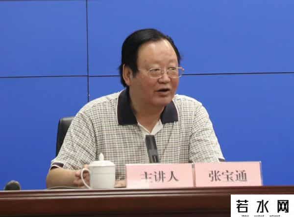 张宝通-消除不平衡不充分发展矛盾需要城市群支撑