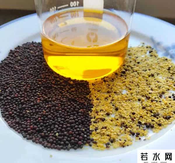 中国刚下单9船油菜籽，美方突然审查AUKUS，特朗普一口气收割两国