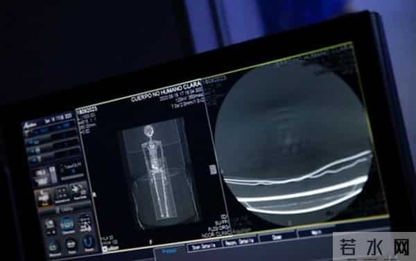 墨西哥“外星人干尸”未经组装