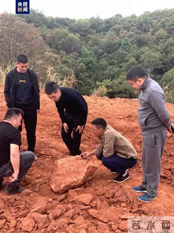 江西武宁发现恐龙蛋化石