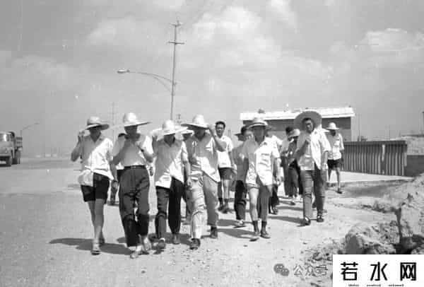 矢志同行 中冶赛迪与宝钢共铸钢铁强国梦