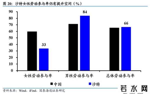 国泰海通证券：沙特深度洞察——中东经济引擎，迎接转型红利