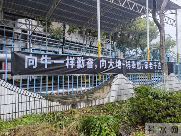 老员工称娃哈哈经常莫名其妙发钱