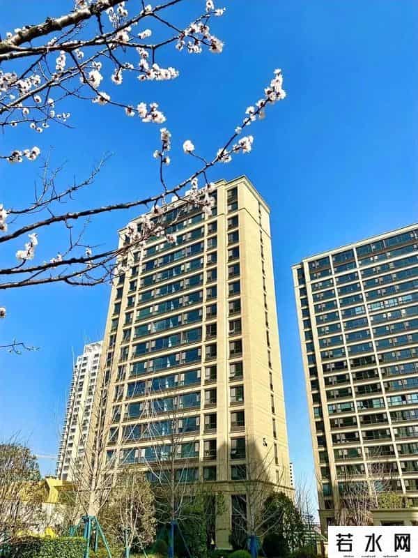 一觉醒来开发商和二手房东都沉默了！住建部要出台最新的住宅规定