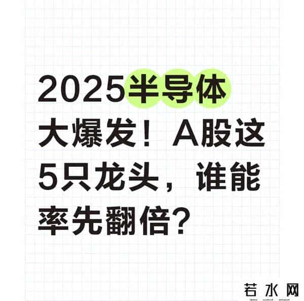 2025半导体大爆发！A股这5只龙头，谁能率先翻倍？