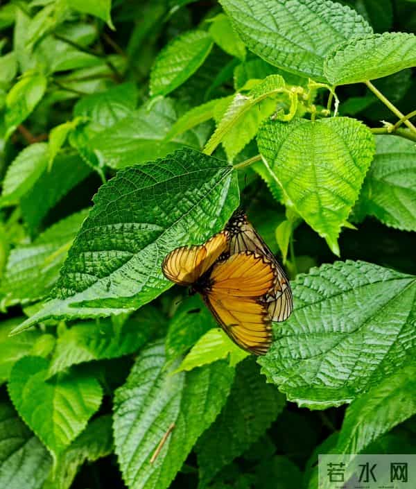 大学生赚1万多奖自己中国游