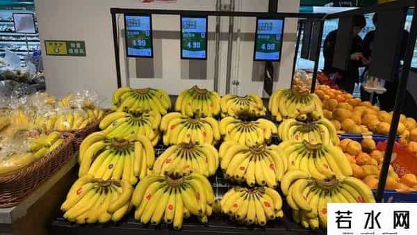 明明产量世界第二！国产香蕉为何被挤出超市？