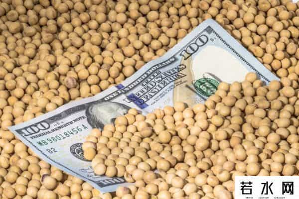 中方连续两天下单，130万吨大豆运往中国，美豆农面临收成危机