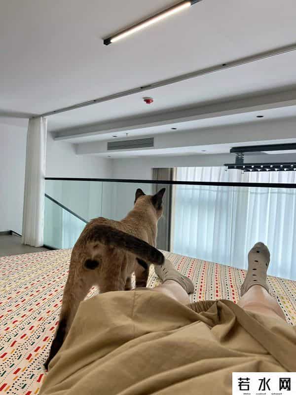 有一种痛苦叫买了“复式楼”，不好住，更不好卖，彻底沦为不动产