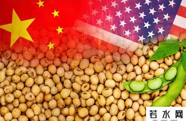 中方连续两天下单，130万吨大豆运往中国，美豆农面临收成危机