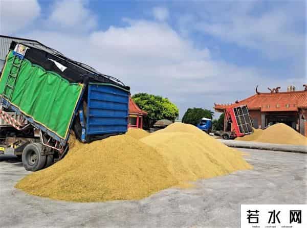中方连续两天下单，130万吨大豆运往中国，美豆农面临收成危机