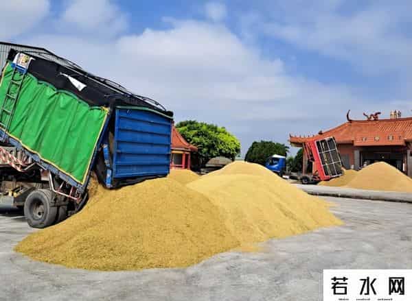 订单仍为零！美大豆协会主席喊话特朗普，商务部最新回应