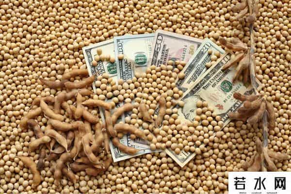 中方连续两天出手，130万吨大豆运往中国，特朗普这次又败了一局