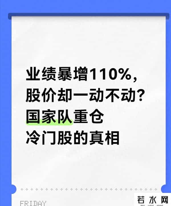 业绩暴增110%，股价却一动不动？国家队重仓冷门股的真相