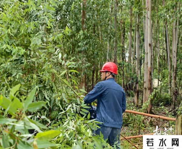 “桦加沙”过境！众恒“电力蓝”全力抢修复电
