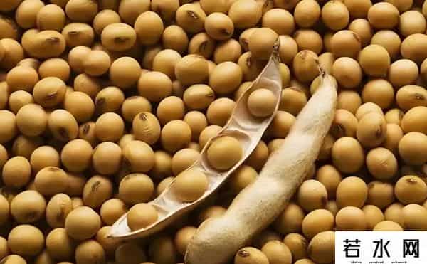 中方连续两天出手，130万吨大豆运往中国，特朗普这次又败了一局