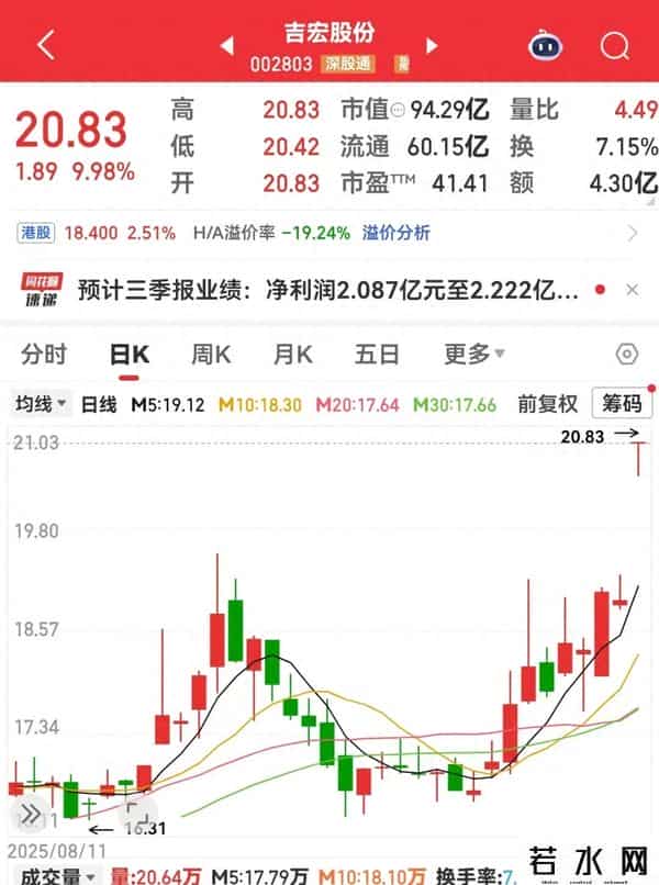 业绩高增长，002803，强势涨停