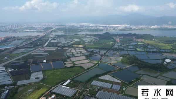 总投资5.28亿元！三水西南一重点项目签约