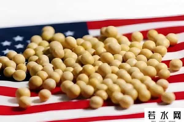 中方连续两天下单，130万吨大豆运往中国，美豆农面临收成危机