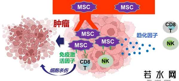 人气超旺！交大28项科技“绝活”，集中亮相！