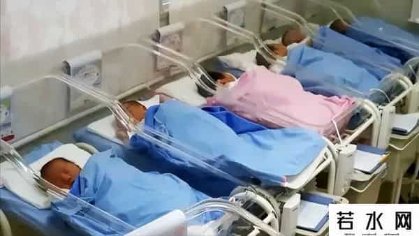 同样是1亿多人，日本上半年新生儿有34万，那经济发达的广东呢？