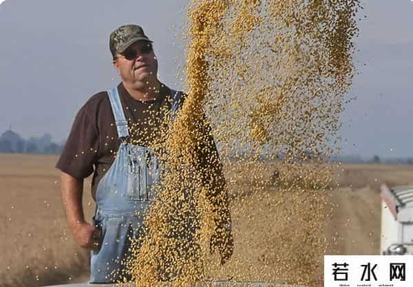趁美国大豆卖不出去，阿根廷取消出口税，向中国卖出10船大豆