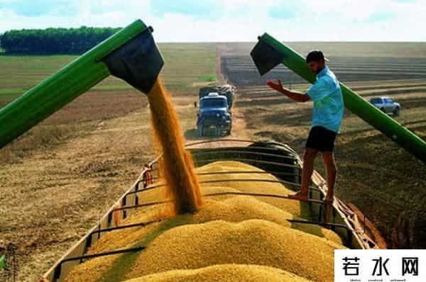 趁美国大豆卖不出去，阿根廷取消出口税，向中国卖出10船大豆