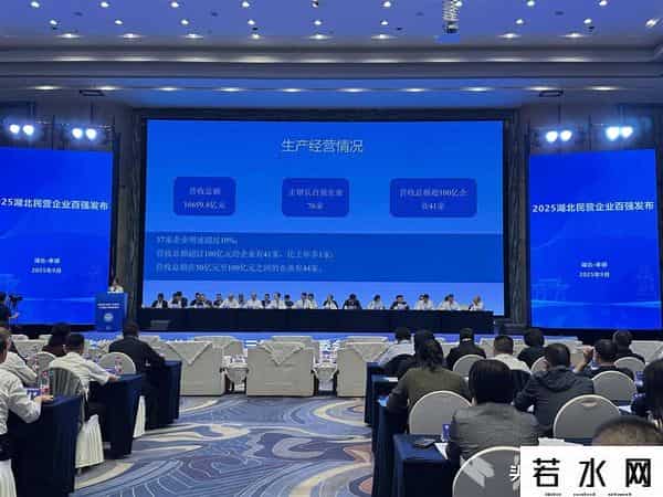 2025湖北民营企业100强榜单发布