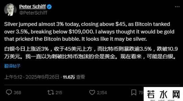 Peter Schiff：我一直认为刺破比特币泡沫的会是黄金，没想到是白银，“数字币财库公司”面临残酷熊市
