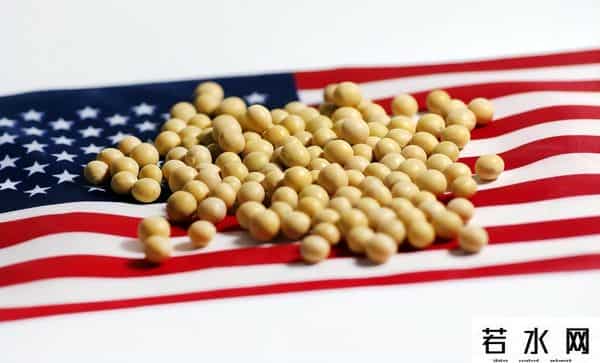 8国密谋反华，澳大利亚想对中国稀土开枪，54万吨油菜籽白买了？