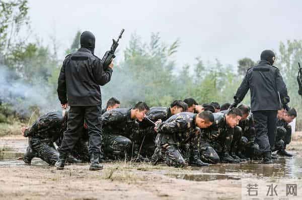 真正男子汉收视率,《真男2》热血收官收视夺冠 观众期待第三季