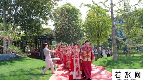 龙佰集团集体婚礼：让员工爱情与企业发展同频共振
